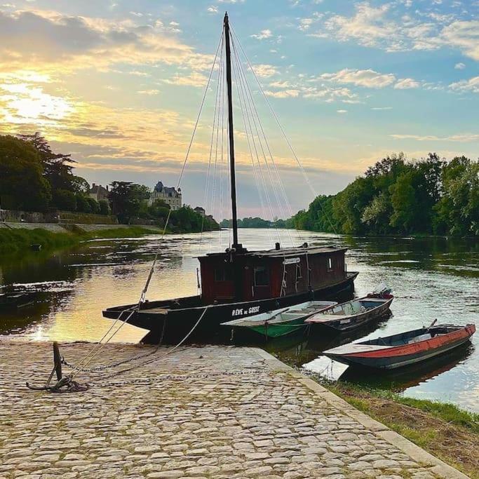 Le 20 La Loire Maison De Bord De Loire Chalonnes-sur-Loire Εξωτερικό φωτογραφία